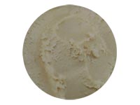 �Î��A�C�X�F���{